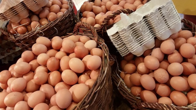 „Nicht alle Eier in einen Korb legen“ – Diversifikation an der Börse