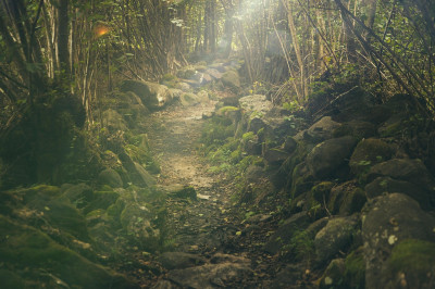 My Path to Financial Freedom