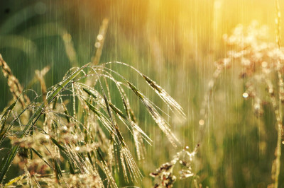 „Nach Regen kommt Sonnenschein“ – Geduld zahlt sich aus