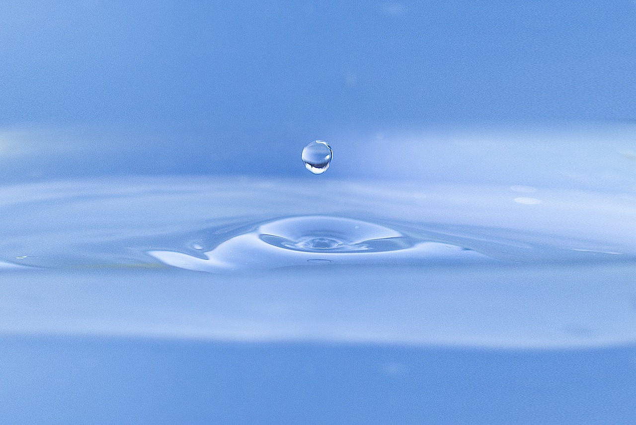 “Constant Dripping Wears Away the Stone” – Patience as the Key to Success